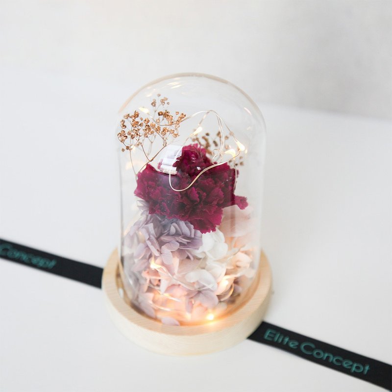 Starlight Carnation Preserved Flower - ตกแต่งต้นไม้ - พืช/ดอกไม้ สีแดง