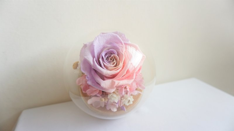 女の子の色ガラスカバーグラデーションカラーは花を枯らさない永遠の命バレンタインデーの部屋の贈り物誕生日の贈り物 - ドライフラワー・ブーケ - 寄せ植え・花 ピンク