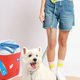 recommend-product