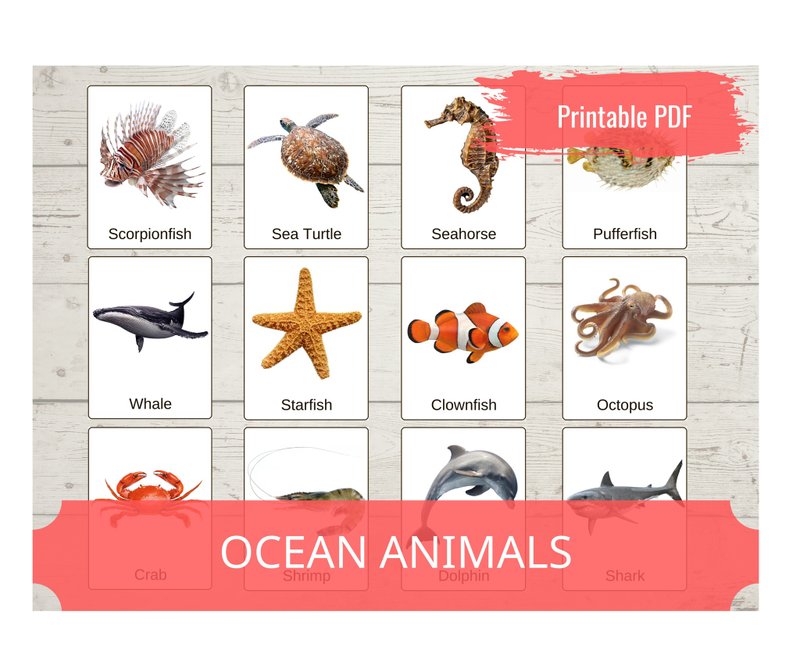 Montessori Printable Cards - OCEAN ANIMALS, Educational Material PDF - 電子喜帖/賀卡/邀請函 - 其他材質 