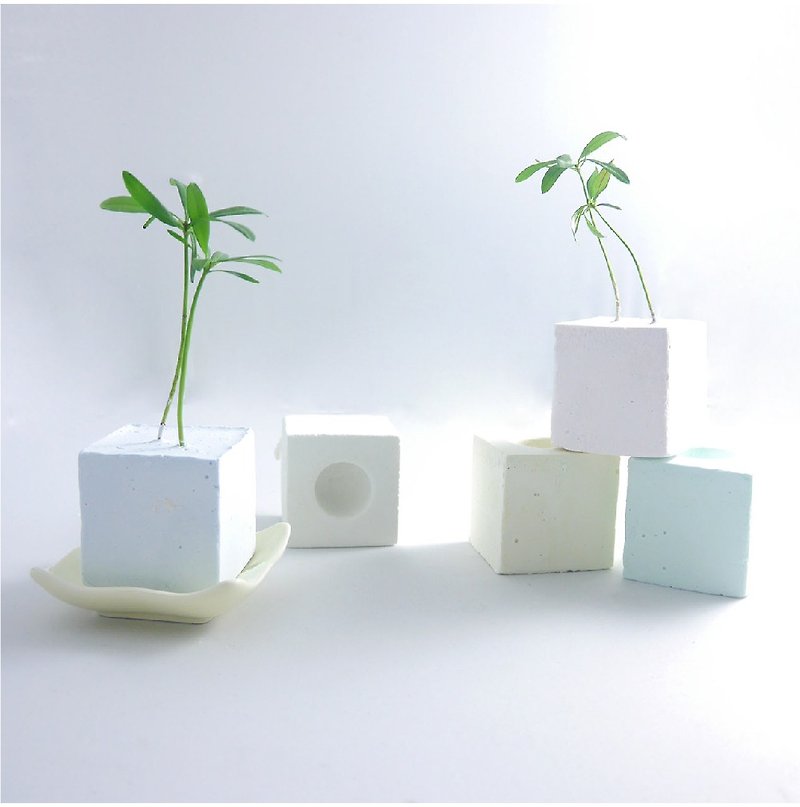 "Green potted" color modeling cultivation block (including a plant) pre - order - ตกแต่งต้นไม้ - พืช/ดอกไม้ 