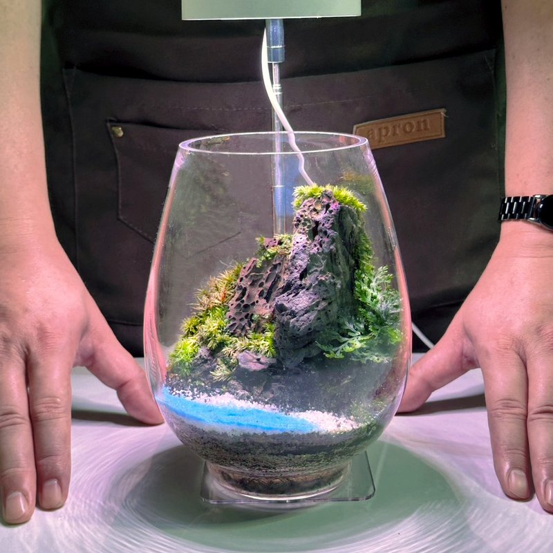 空山造境 / 生態缸進階設計課 - 植栽/花藝 - 植物．花 