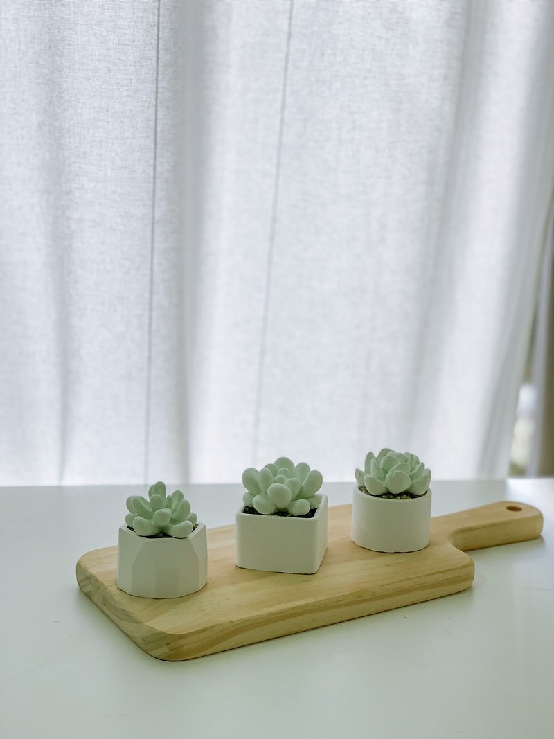 [Fragrance Ornament Small Objects] Shape Diffuser / Succulent Cactus Potted Plant - Fragrances - Other Materials 