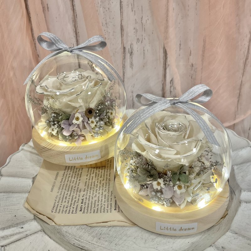 | 小夢境花藝 | 仙女風 XL永生玫瑰 LED燈環底座玻璃球 花房 - 乾燥花/永生花 - 植物．花 白色