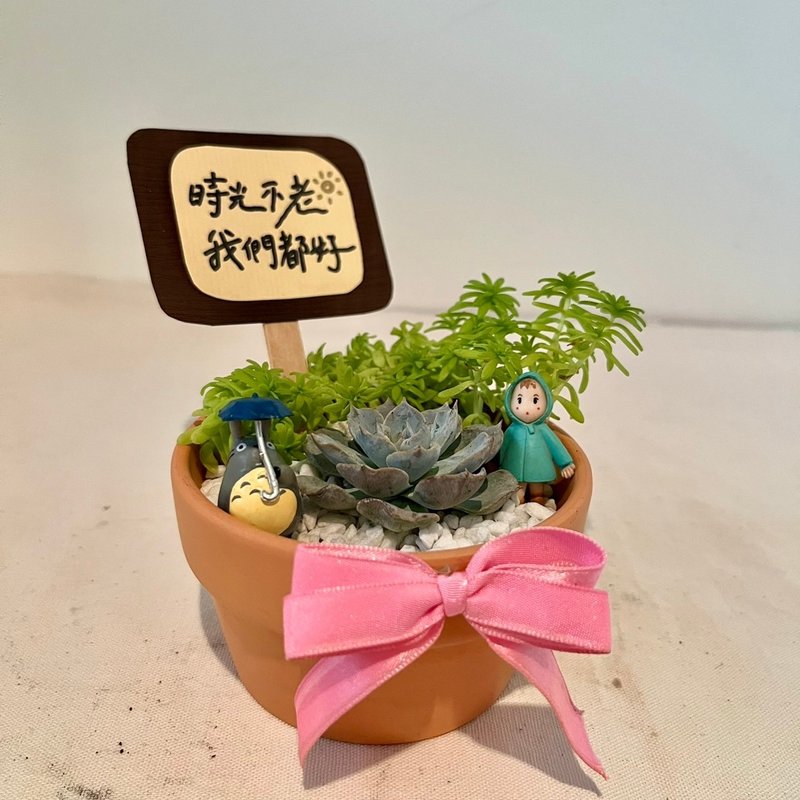 My Neighbor Totoro Ghibli (small pot) opening gift succulent group pot succulent plant creative potted plant - Plants - Plants & Flowers Green