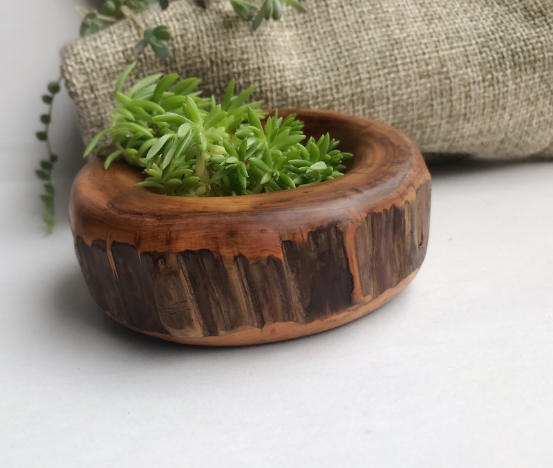 桧木钵. Succulents potted. - Plants - Wood Green