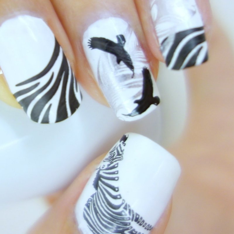 BEnails美甲轉印鋼板 野性美(大方版)BN010美甲DIY印花板 指彩 - 指甲油/指甲貼 - 不鏽鋼 銀色