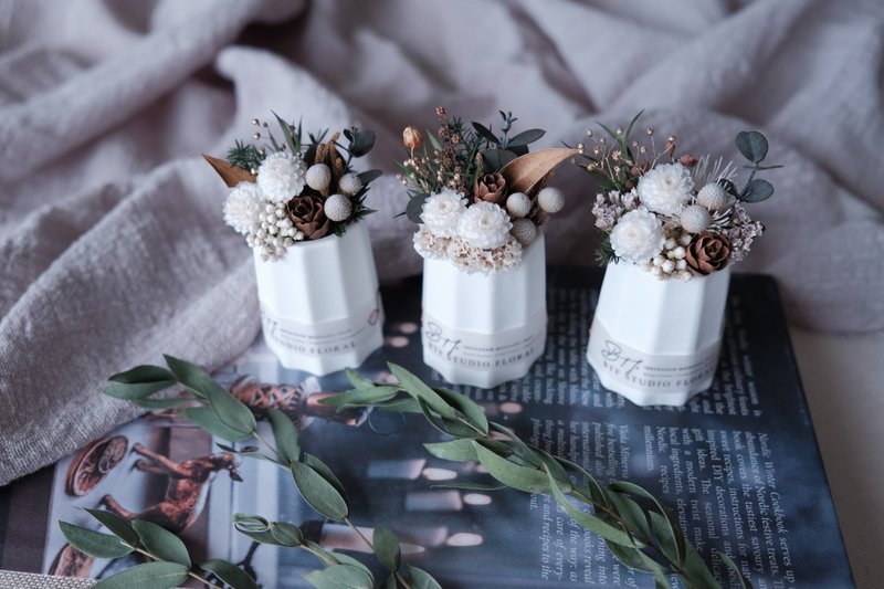 Plant potted flowers - French style colilo potted flower forest style potted flower Christmas gift (with handwritten English blessing) - Dried Flowers & Bouquets - Plants & Flowers Green