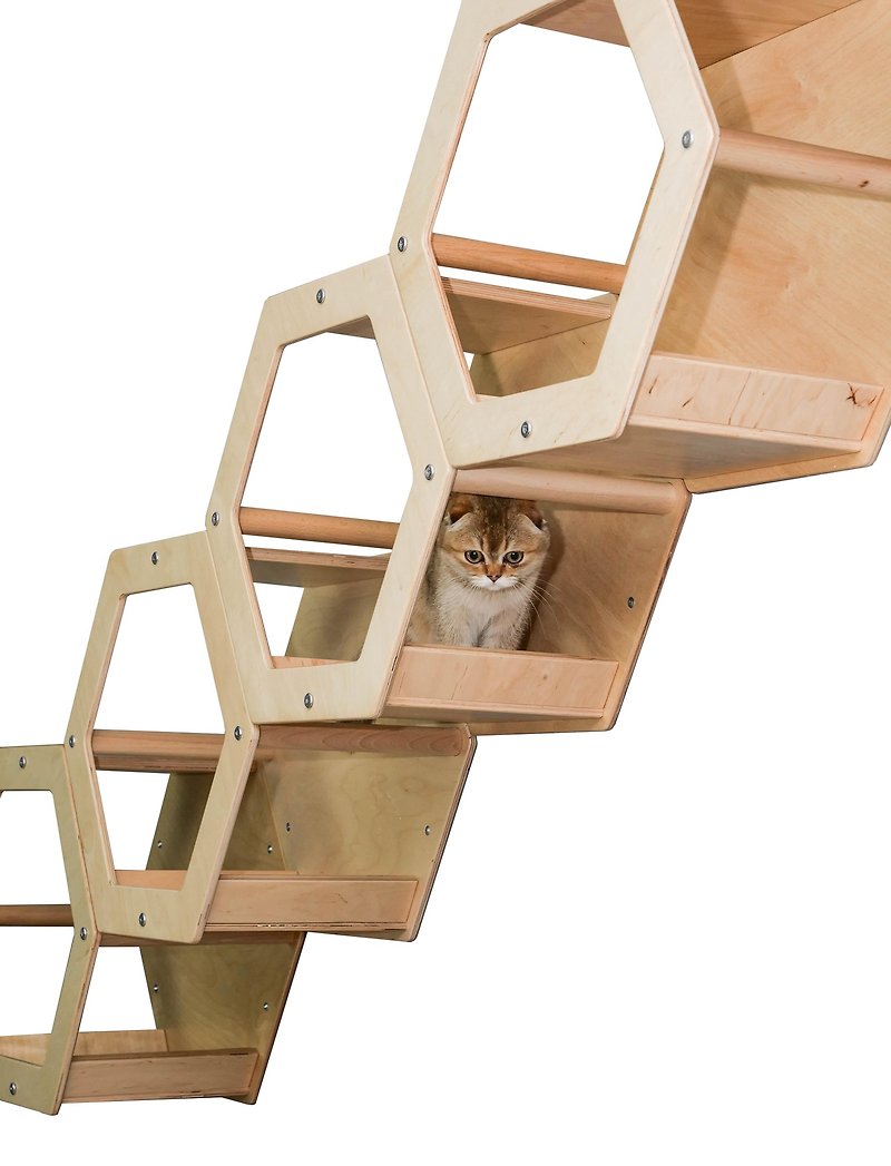4 六角棚キャットウォールジャングルジムキャットハウスモダンな木製猫ベッド - キャットタワー・爪とぎ - 木製 ホワイト