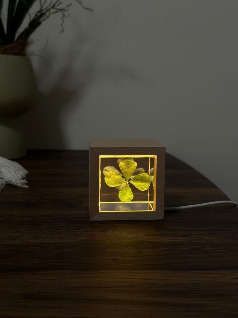 Real four leaf clover lamp, Unique lucky clover botanical night light - Items for Display - Resin Green