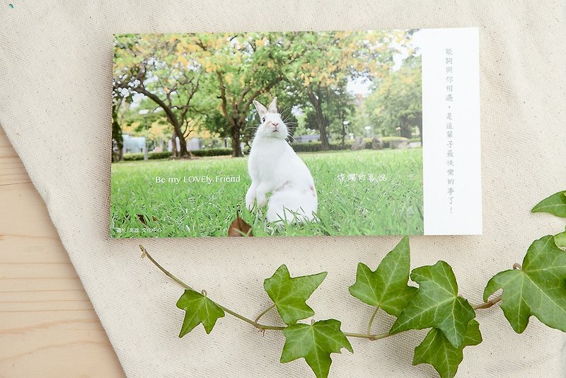 Rabbit Photographic Illustration Postcard-Brilliant Joy - Cards & Postcards - Paper Yellow