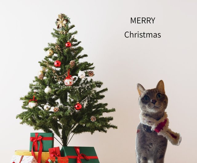 あったかボアマフラー クリスマスカラー - ショップ MOFU MOFU 首輪