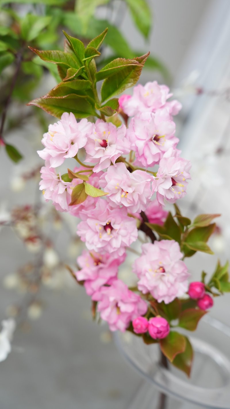 冷瓷重瓣櫻花兩日課程  專業課程不藏私 - 植栽/花藝 - 其他材質 