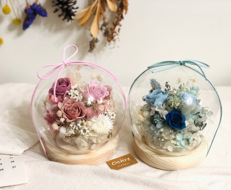 Ochre 各色系夢幻永生玫瑰玻璃燈球-大 桌花 盆花 花禮 花盒 - 乾燥花/永生花 - 植物．花 多色