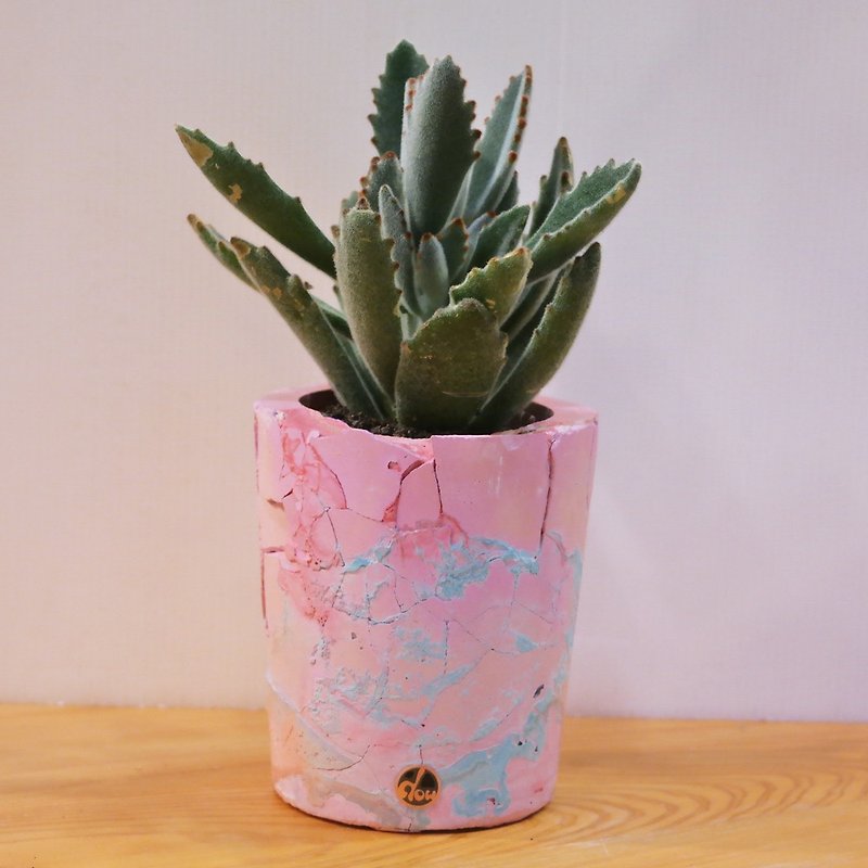 Peas Succulents and Small Groceries - Handmade Devon Shakes Series-3 - Plants - Cement Multicolor