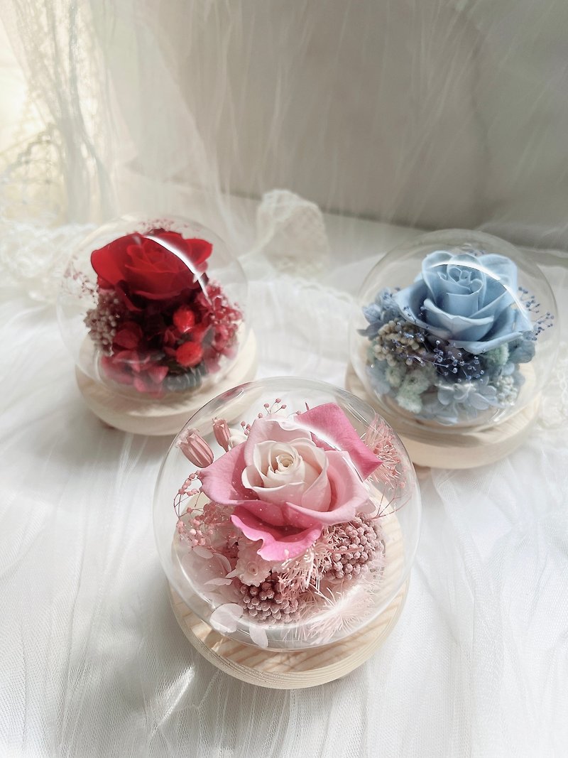 rose round glass cup - ช่อดอกไม้แห้ง - พืช/ดอกไม้ หลากหลายสี