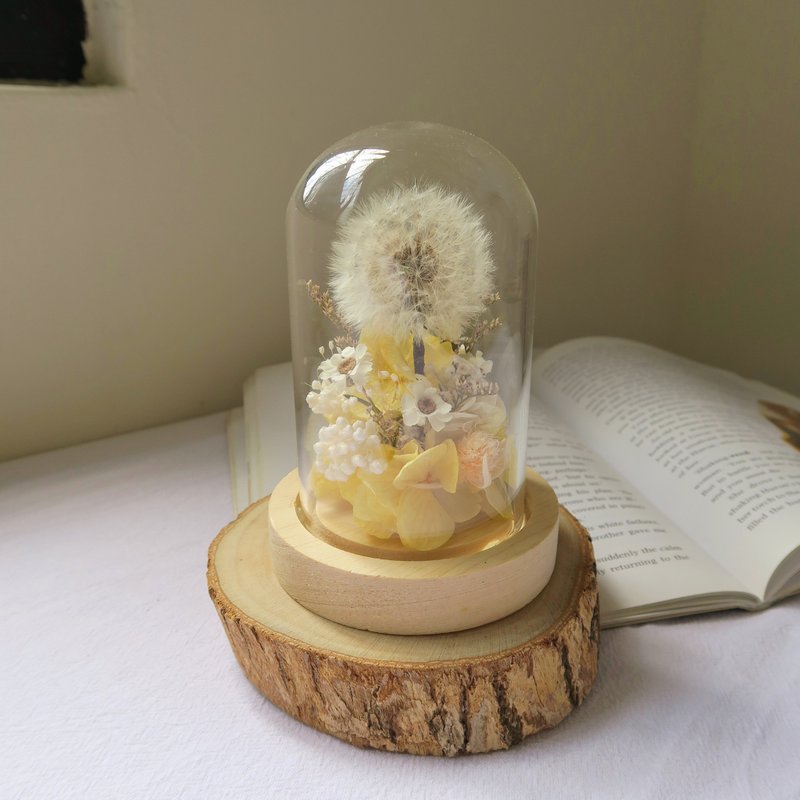 Spot new color wish glass ball/dandelion glass cover Mother's Day dried flowers immortalized flowers - Dried Flowers & Bouquets - Plants & Flowers Yellow