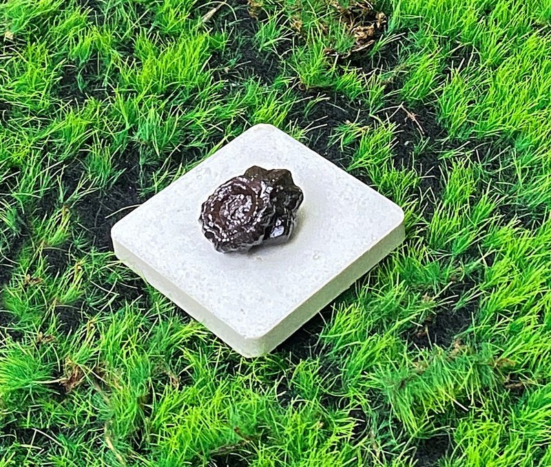 能量擺飾-精選天然埃及預言石可愛小花朵造型原礦 快速出貨 - 擺飾/家飾品 - 水晶 咖啡色