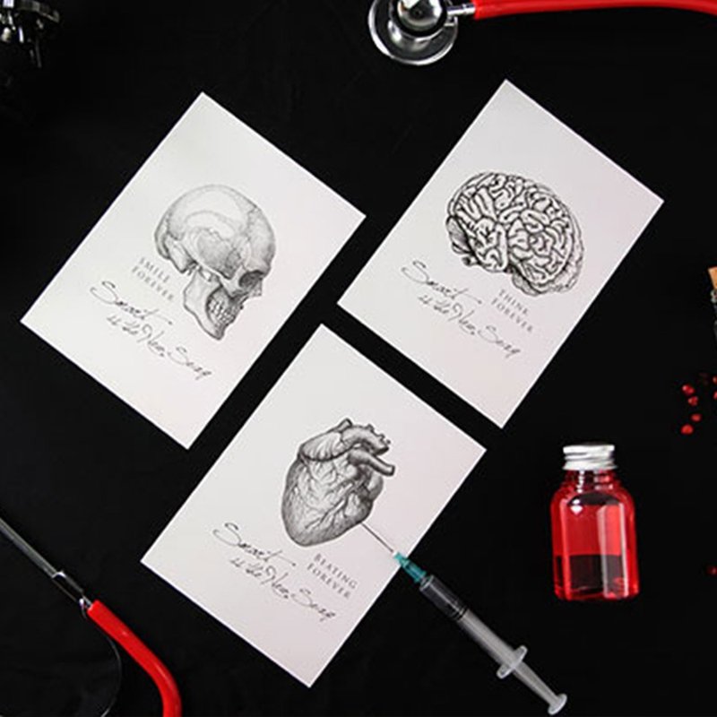 科學明信片 - 器官 (3款) - 卡片/明信片 - 紙 多色