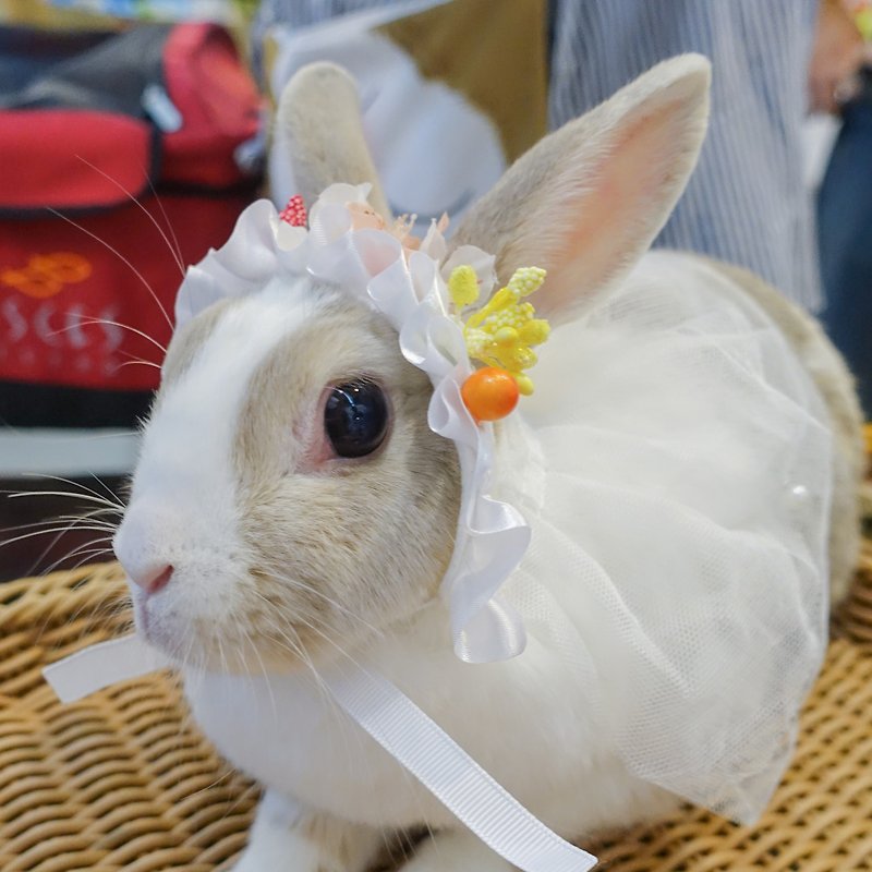Rabbit flower romantic wedding veil - ชุดสัตว์เลี้ยง - วัสดุอื่นๆ ขาว