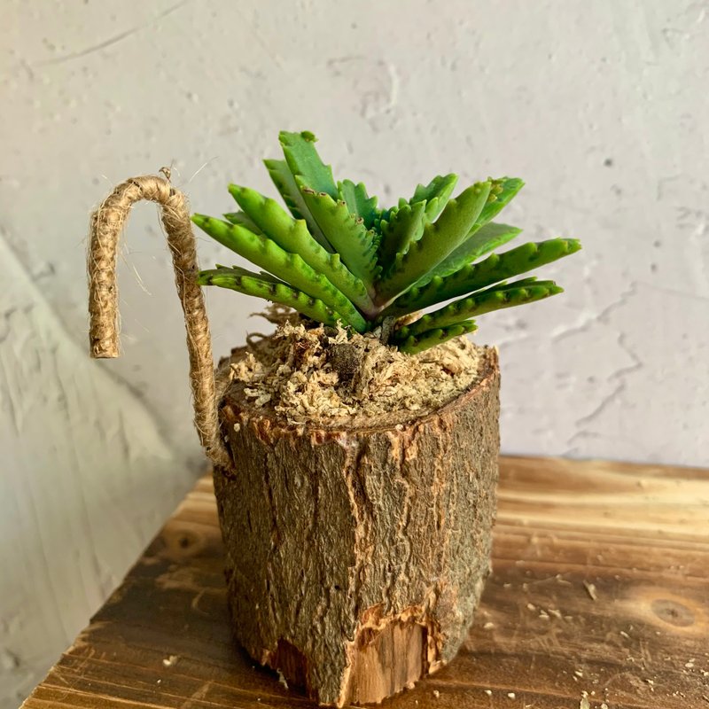 Handmade wood design potted ornament succulent phoenix - ตกแต่งต้นไม้ - ไม้ 