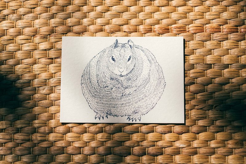 Squirrel Postcard Set - Cards & Postcards - Paper Brown