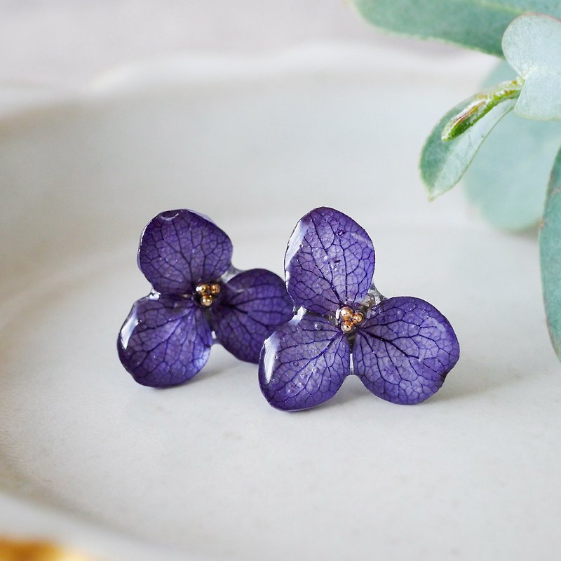 Real hydrangea flower earrings