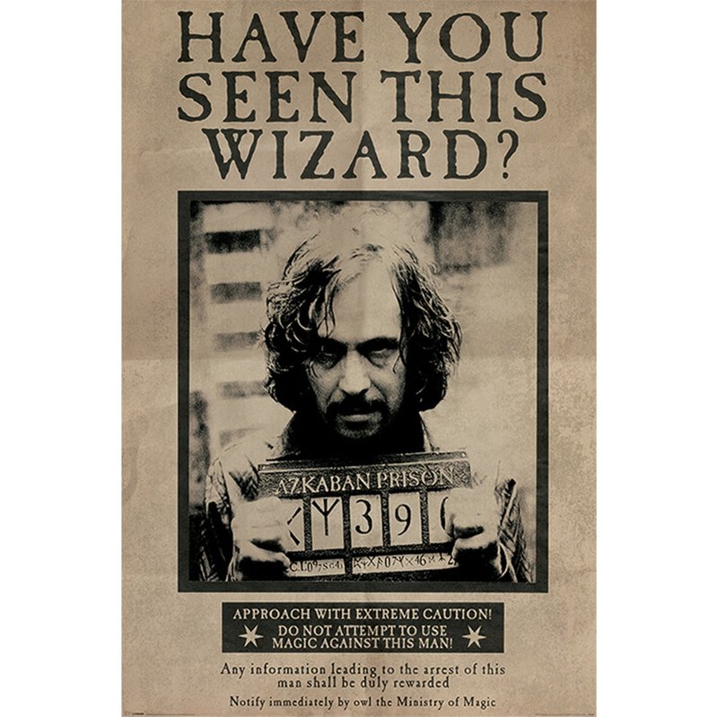 【哈利波特】天狼星懸賞單 英國進口海報 Harry Potter - 海報/掛畫/掛布 - 紙 卡其色
