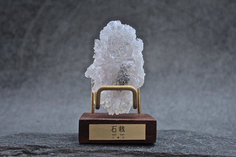 石栽 SHIZAI-巴西紫晶花原礦-含底座 - 擺飾/家飾品 - 水晶 紫色