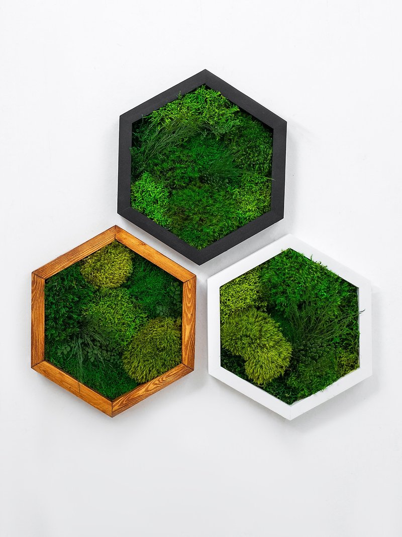 พืช/ดอกไม้ ตกแต่งผนัง สีเขียว - Moss wood wall art decor, honeycomb wall art, moss green wood art