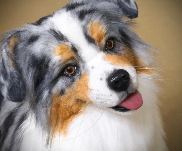 Big Sway The Australian Shepherd