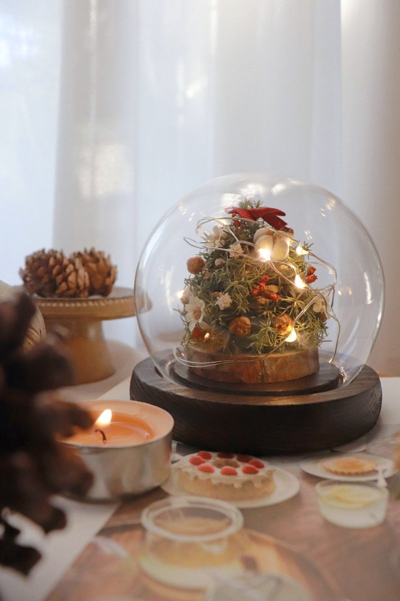 - Pine cone Christmas tree glass balls (three types) - Night light ornaments exchange gifts Christmas gifts - ช่อดอกไม้แห้ง - พืช/ดอกไม้ สีเขียว