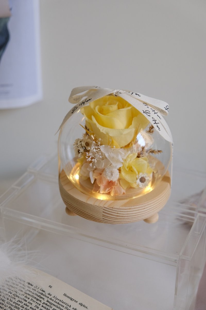 (燈款) 晨曦黃-永生花玻璃花球 - 乾燥花/永生花 - 植物．花 黃色