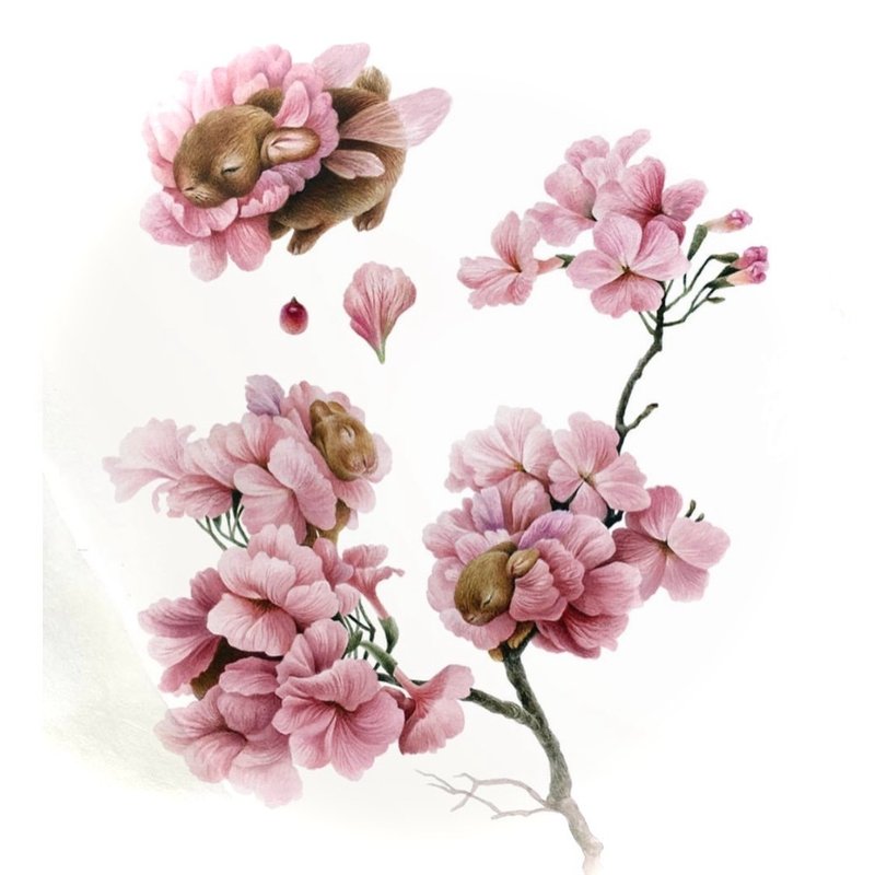 Pink Blossoms - Wall Décor - Paper Pink