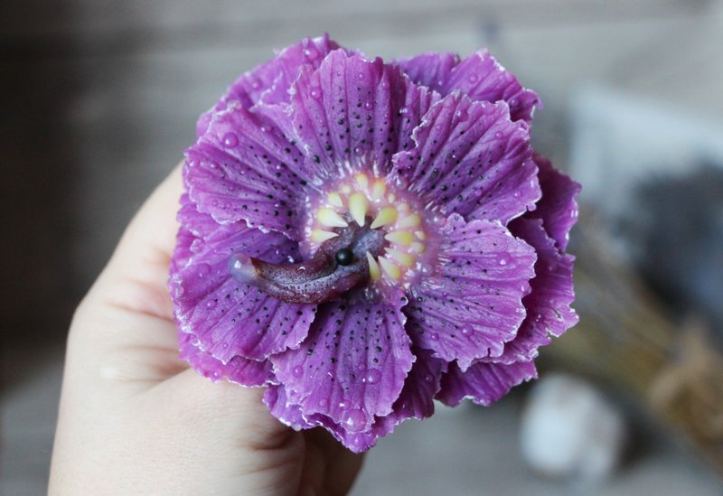Goth jewelry Creepy flower brooch Purple toothy flower - 胸針 - 黏土 紫色