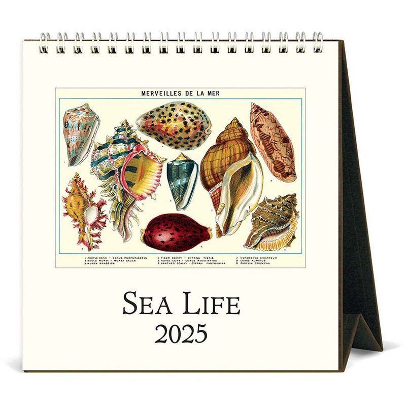 Cavallini & Co. 2025 Desk Calendar\Month Calendar Sea Life - ปฏิทิน - กระดาษ หลากหลายสี