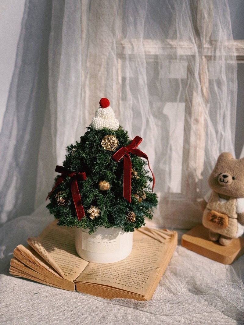 不凋花永生花 雪松聖誕樹 聖誕節禮物 交換禮物 - 乾燥花/永生花 - 植物．花 多色