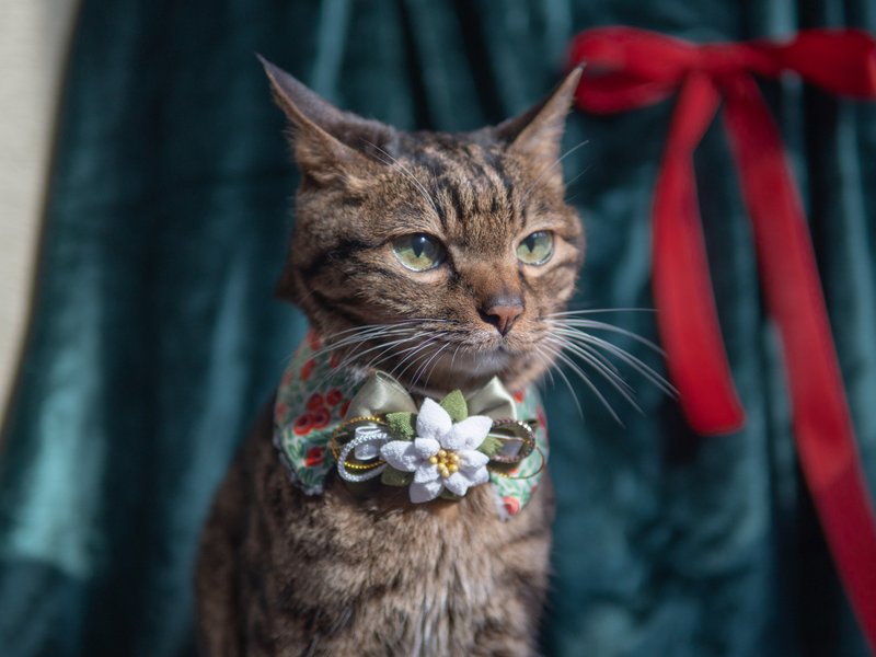 【聖誕系列】寵物領巾 貓咪/狗狗 聖誕花領巾 - 白色 - 項圈/牽繩 - 棉．麻 白色