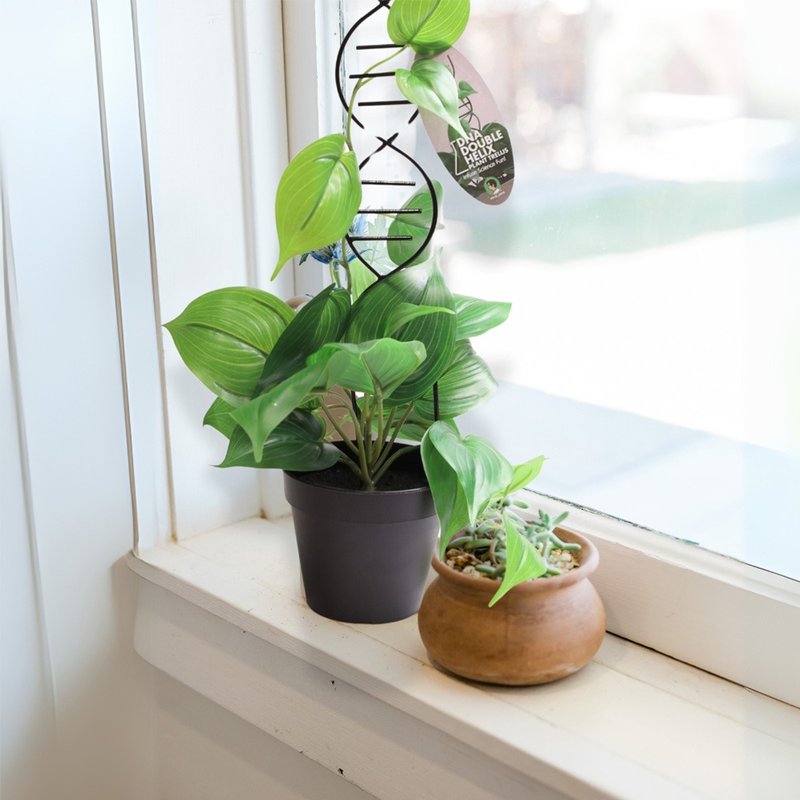 DNA雙股螺旋植物攀爬架 - 盆栽/植栽 - 塑膠 