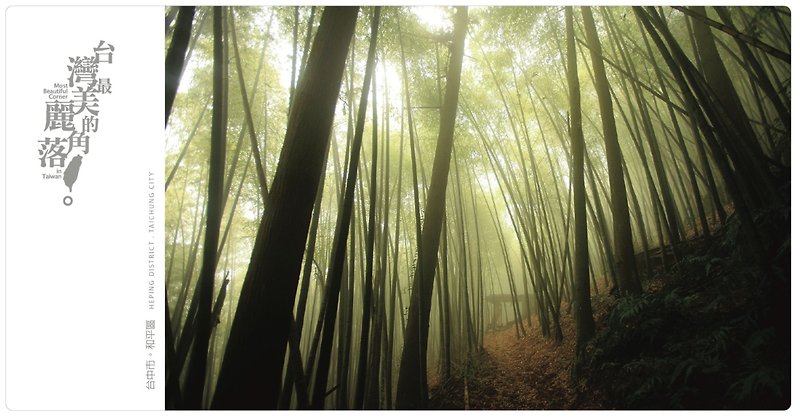 【eyeDesign 看見設計】台灣最美麗的角落明信片－高山莫測的竹林 - 心意卡/卡片 - 紙 綠色