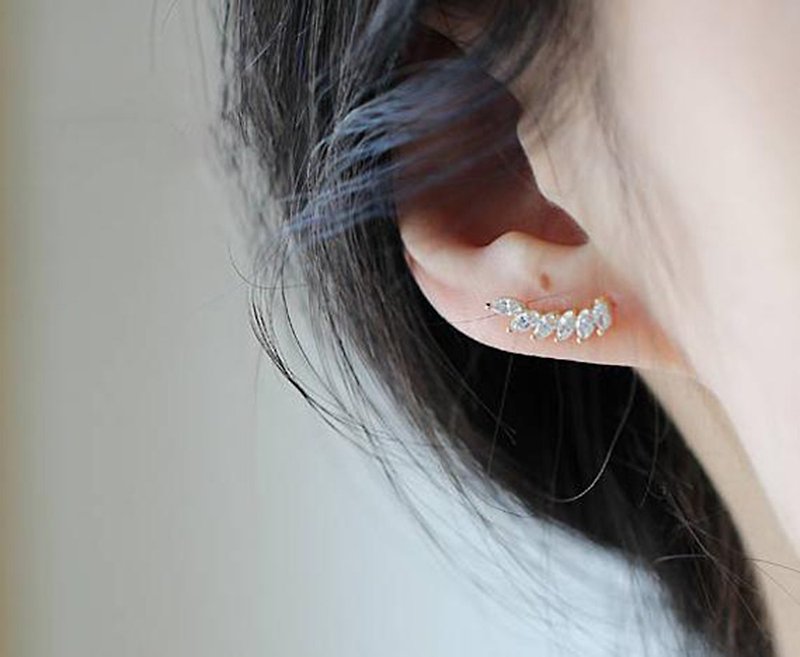 14K gold plated Cubic Zirconia Earrings - Earrings & Clip-ons - Silver Gold