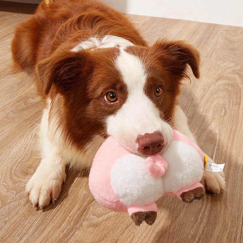 【犬貓玩具】Petsville派思維 毛絨發聲屁股造型玩具(7款) - 玩具 - 貓/狗玩具 - 聚酯纖維 多色