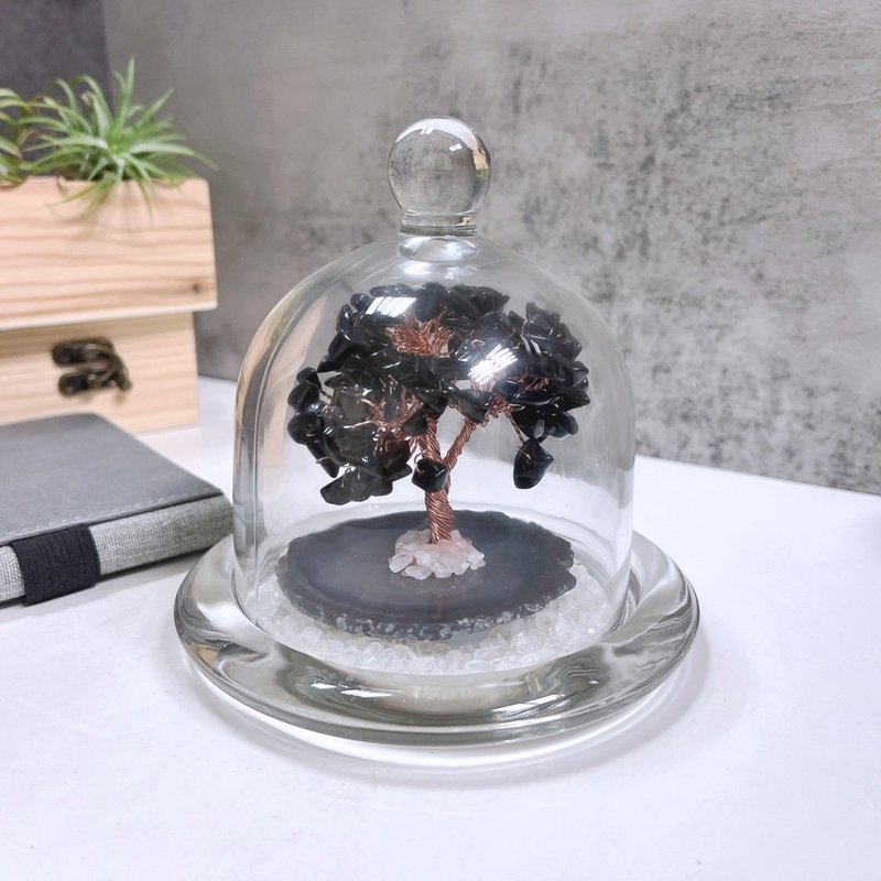 黑曜石發財樹 加玻璃罩 辦公室開運小擺件 - 擺飾/家飾品 - 半寶石 
