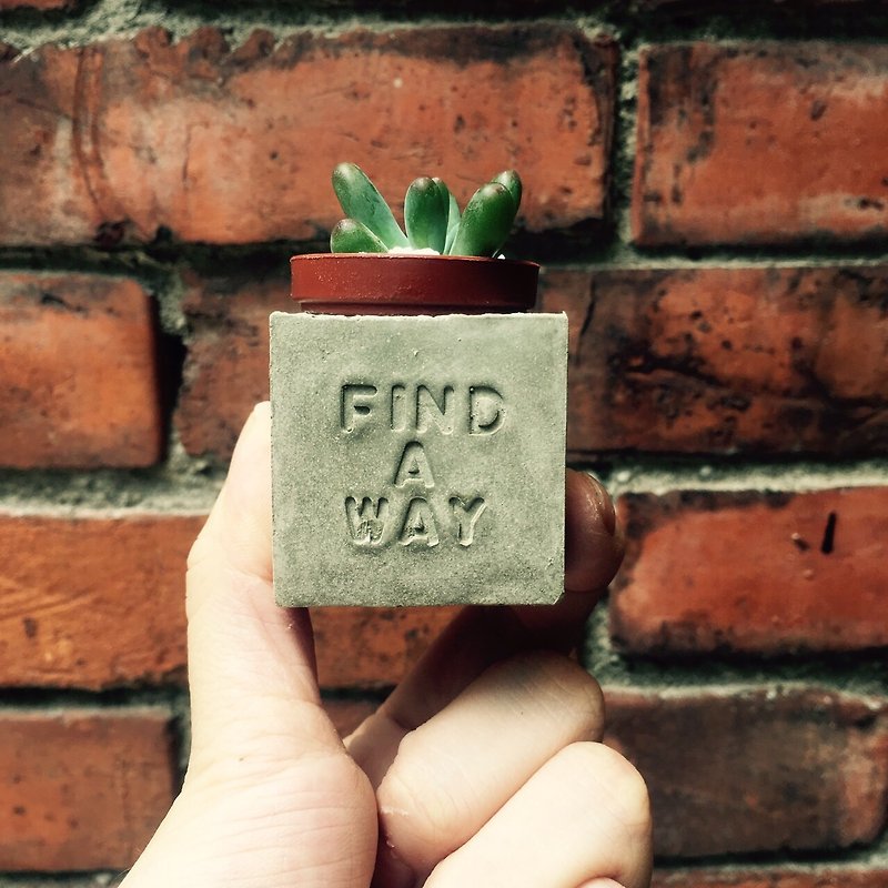 Find a way 找到自己的路～!多肉磁鐵盆栽 - 植物/盆栽/盆景 - 水泥 灰色