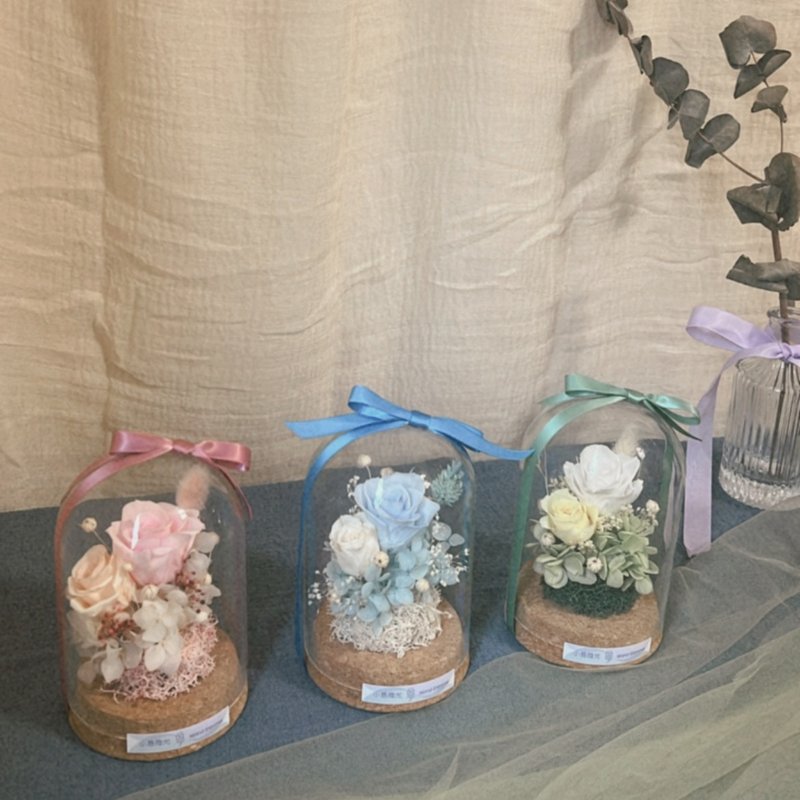 氣泡飲 - 軟木塞玻璃花盅 - 乾燥花/永生花 - 植物．花 