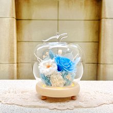 専用 ななお様 ご確認用　トトロ　ワンダエドワーフ　リドレイパカラン Amazon.co.jp: さんけい スタジオジブリmini となりのトトロ