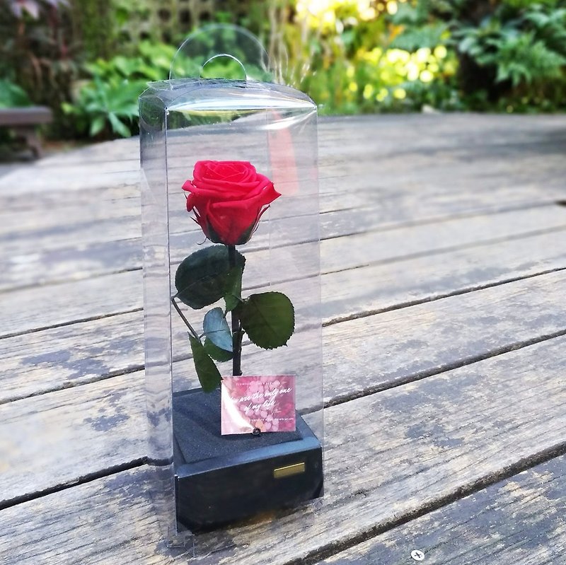 Valentine's Day Rose Flower - Dried Flowers & Bouquets - Plants & Flowers Red