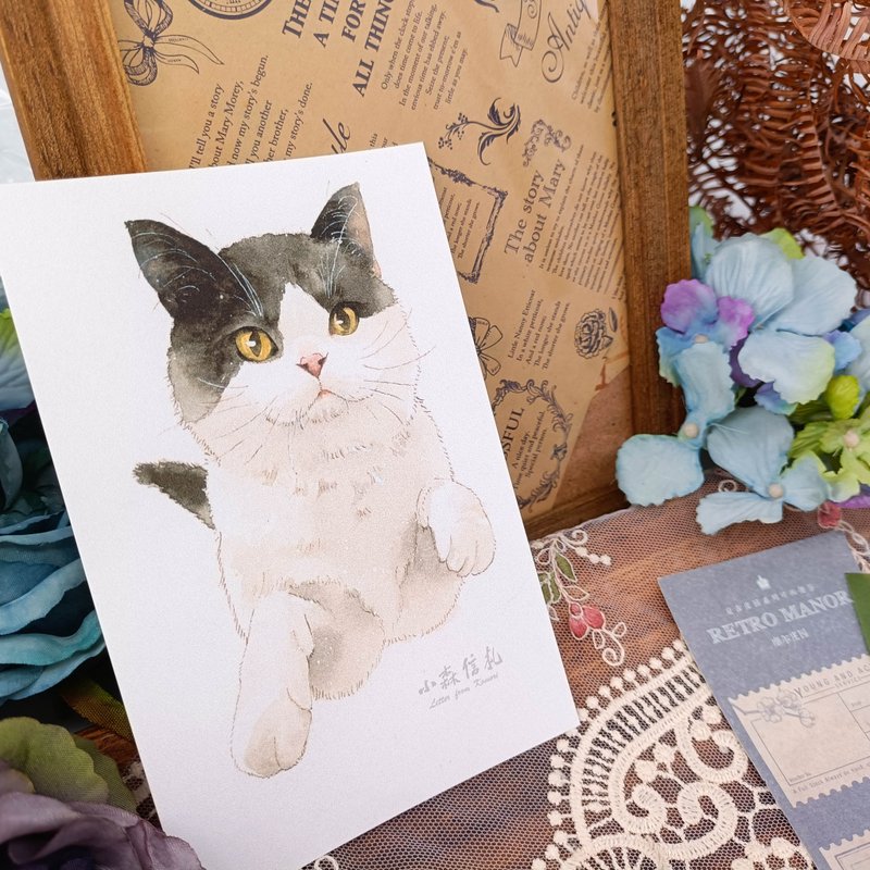 LS146貓咪明信片_07_Cat Postcard_07/明信片 - 卡片/明信片 - 紙 多色