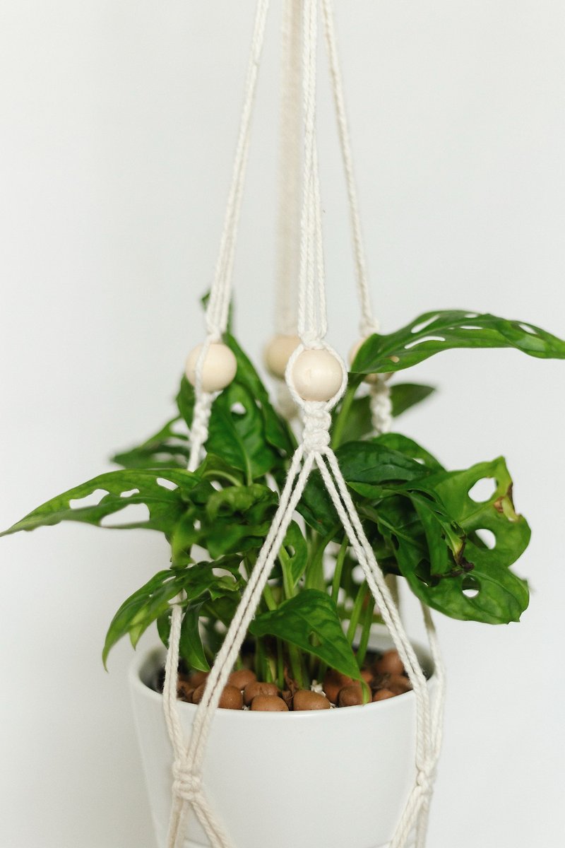Macrame Plant Hanger / Pompom - 植物/盆栽/盆景 - 棉．麻 白色