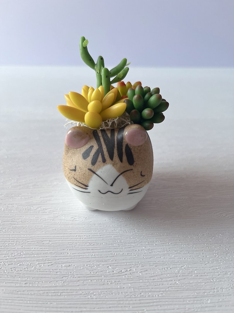 [Simulated Clay Succulent Plant Basin-Cat Style 3] Made to Order - Plants - Clay 